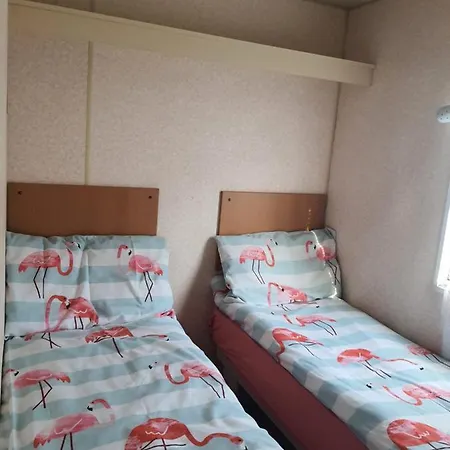 Wieczorne Mgly Camping